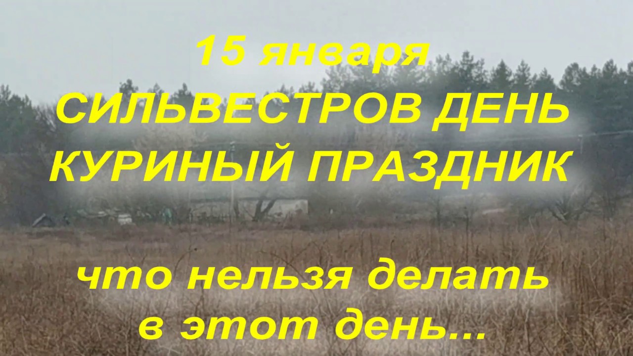 15 января КУРИНЫЙ ПРАЗДНИК . СИЛЬВЕСТРОВ ДЕНЬ . народные приметы и традиции