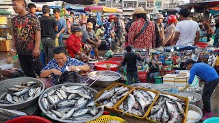 Morning Fish Market Tours - Plenty Fresh Seafood, Alive Fish, Dry Fish, Frog & More In Fish Market