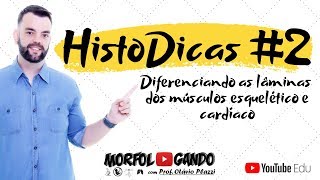 #HistoDicas 2 - Diferenças estruturais histológicas entre o músculo esquelético e cardíaco