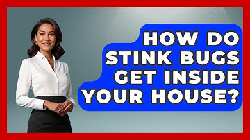 How Do Stink Bugs Get Inside Your House? - Insects and Invaders