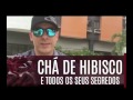 CHÁ DE HIBISCO E TODOS OS SEUS SEGREDOS | Dr. Dayan Siebra