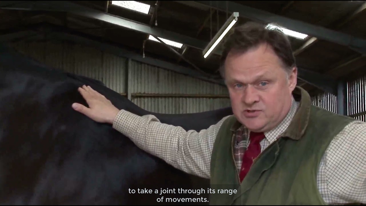 Osteopathic Articular Balancing