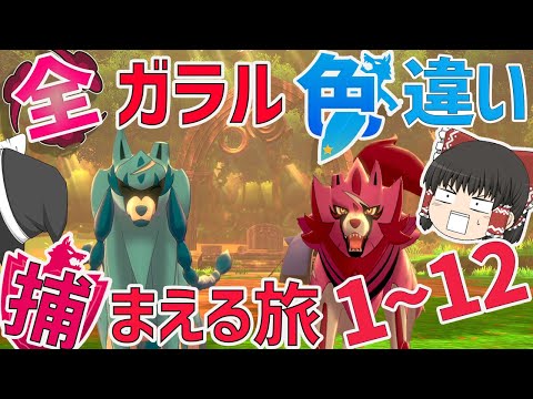 【ポケモン剣盾】全ガラルポケモンの色違い捕まえる旅　総集編（1~12）【ゆっくり実況】