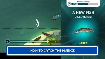 How To Catch The Muskie - Creatures Of The Deep Part 40