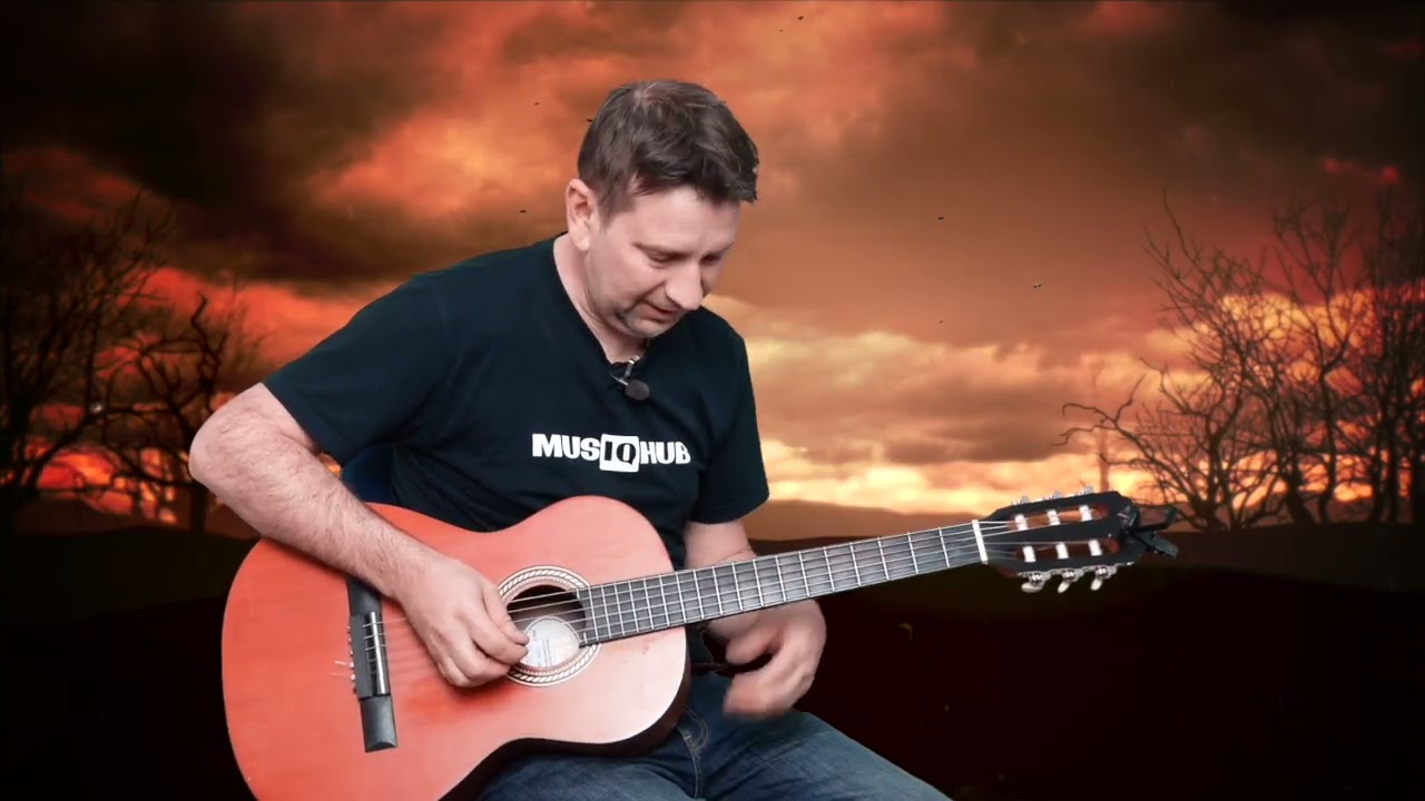 Acoustic Blues Soloing