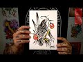 How to draw a Raven (American traditional Tattoo)