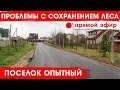 Боровлянский сельсовет. Проблемы с сохранением леса.Поселок Опытный