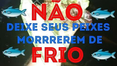 Como saber se seu peixe está com frio?