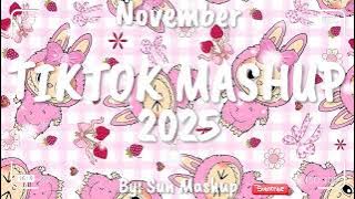 Tiktok Mashup November 💖2025💖 (Not Clean)