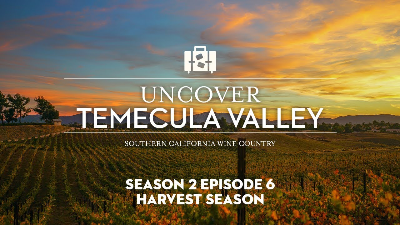 Uncover Temecula Valley - Harvest Season