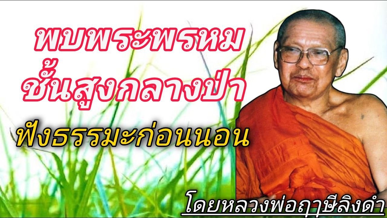 พบพระพรหมชั้นสูงกลางป่า ฟังธรรมะก่อนนอน คิดถึงหลวงพ่อฤาษีลิง #ช่องเสียงธรรมะ