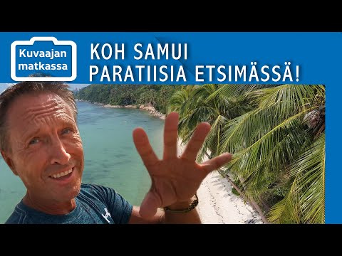 Video: Miten Päästä Bangkokista Koh Samuiin