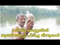 ചെമ്പല്ലിയും കരിമീനും സിനിമ സ്റ്റൈലില്‍ മുങ്ങിത്തപ്പി പിടിച്ച അബ്ദുപ്പ