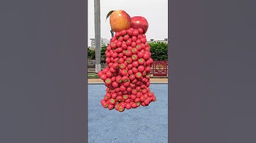 Create vegetable and fruit characters🍅🥬🥭  stand up, walk, collide and fall down...