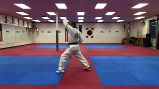 Basic Poomsae 2
