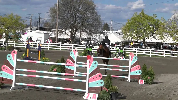 Garden State Horse Show 2015 Class 335 $40K Garden...