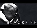 Blackfish  bande annonce vf