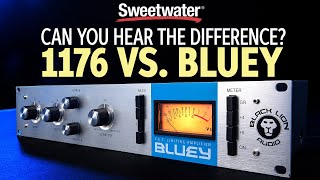 1176 vs. Bluey — Can You Hear the Difference?