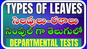 TYPES OF LEAVES : DEPARTMENTAL TESTS:  EOT 141 GOT: PAPER CODE 88