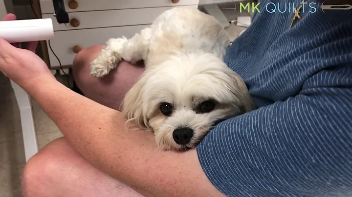 MK Quilts Tip: Hand Wheel and Little Foot add ons