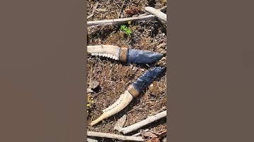 Obsidian and Dacite Twin Blades with Burned Designs on Bone Handles #bushcraft #stonetools #diy