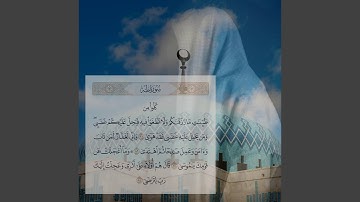 ما تيسر من سورة طه - القارئ عمر بن ضياء الدين