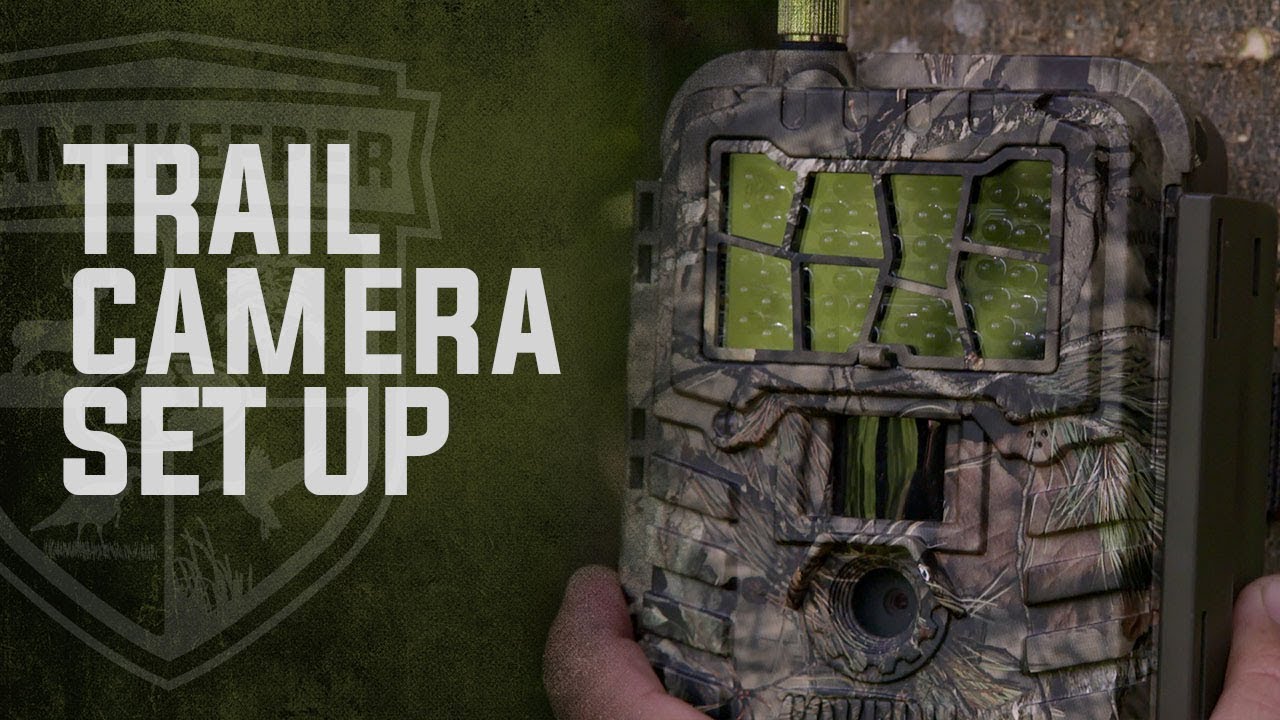 How To Set Up Trail Cameras YouTube