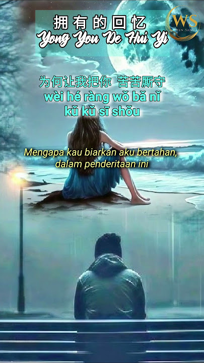 拥有的回忆 Yong You De Hui Yi | 王娜 Wang Na - 擁有的回憶 (Lirik & Terjemahan Indonesia)
