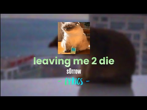 s0rrow - leaving me 2 die [Lyrics]