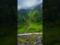 #love #lifeisbutadream #howtomakewhitesaucepasta #viralvideo #mountains # viral
