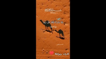 تلاوه طيبه للشيخ المحيسني صوت عذب