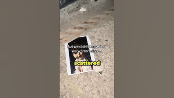 They Found Secret Tunnels Under Airbnb