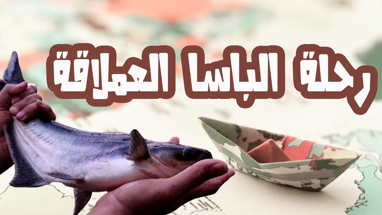 جولة في أكبر مزارع سمكة الباسا العنيدة