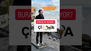 Cevap ne? #fypシ #yks #ykstavsiye #zekasorusu #funny #keşfet #öneçikart #resfebe #keşfetbeniöneçıkar