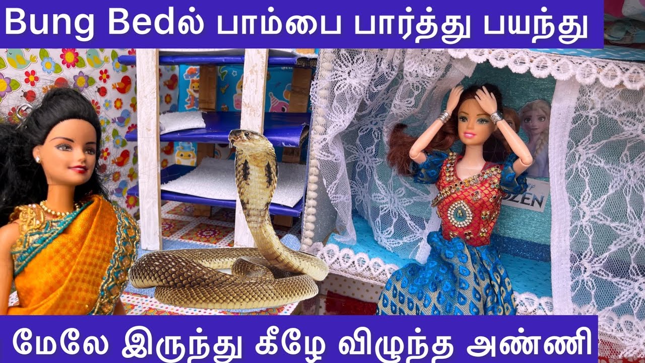 ராஜா ராணி Episodes 82 | Bung Bedல் பாம்பை பார்த்து பயந்து மேலே இருந்து கீழே விழுந்த அண்ணி😱