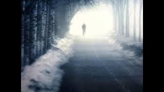 Jane ja jane ja 'ANARİ' ( high quality audio ) ( Editing By : Abdullah ASIM)