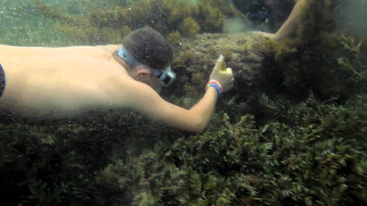 Mutton Fishing TAS 1 min