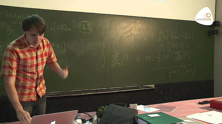Gasper Tkacik: "Critical behavior in networks of r...