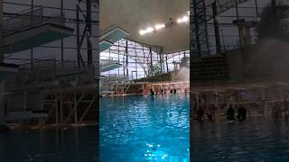 #splashdiving #sindelfingen #10m #tower #bavaria #jumping #triple #front #half #board #sound #on