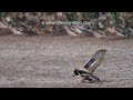 نار قلبي تشتعل ضاوه من عقبهم ناسي نار قلبي تشتعل ضاوه من عقبهم ناسي