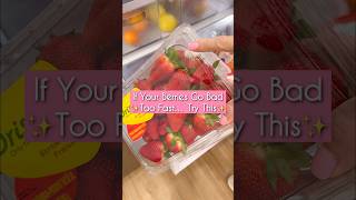 I Tested Every Berry Hack Only One Kept Them Fresh For 14 Days