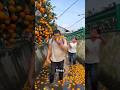 No One Buys My Oranges… Please Help 😔🍊 #shorts #shortsfeed