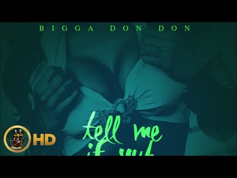 Vybz Kartel - Tell Me If You Like It (Raw) February 2016