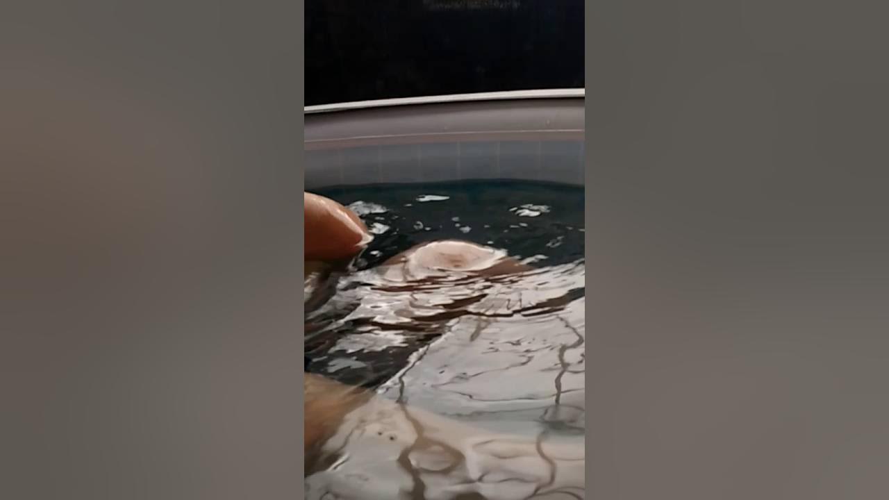 Vegas lazy spa YouTube