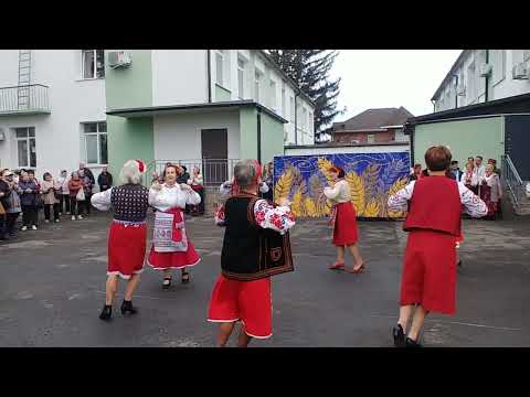 Thyme Cossack Day 2025