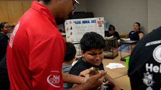 Team Mario Fun Fridays summer camp at UTRGV