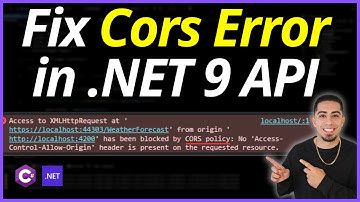 How to fix CORS Errors EASILY in your .NET 9 API!