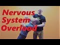 Nervous System Overload Takedown