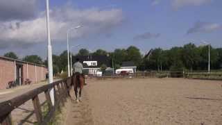 Ellen's private lessons 1