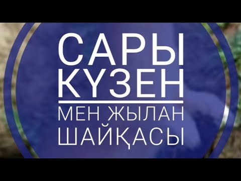 Бейне: Сары күзен киті: сипаттамасы, пайдасы мен зияны